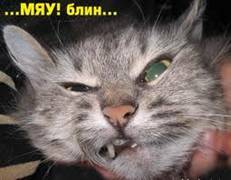 ОЧЕНЬ СМЕШНО!СМЕХУЁЧКА!.jpg